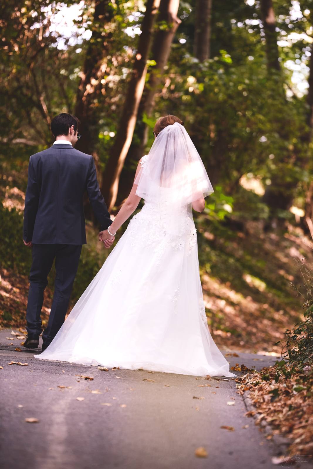 A3A0060,medium large.2x.1539600125