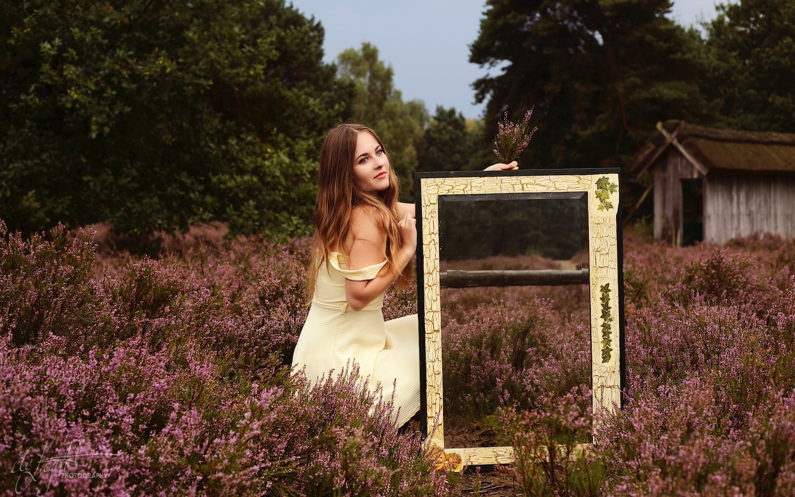 Ala,xlarge.2x.1526236475